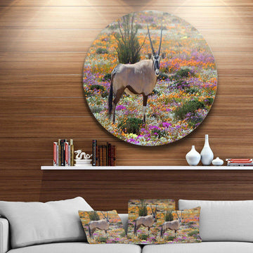 Beautiful Oryx in Flower Field - Animal Metal Circle Wall Art